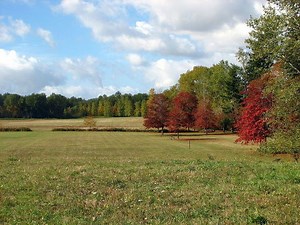 Molalla River State Park - Alchetron, the free social encyclopedia
