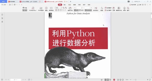 利用Python进行数据分析(中文版).pdf