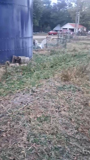 October garden tour. 121 Family Farm | Anna Farm