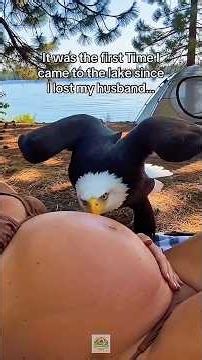 The Guardian Eagle: An Unlikely and Unbreakable Bond#shortsfeed #usa #viral #animals #wildlife #bear
