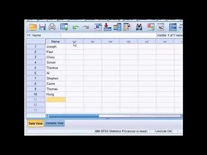 How to Enter Data into SPSS