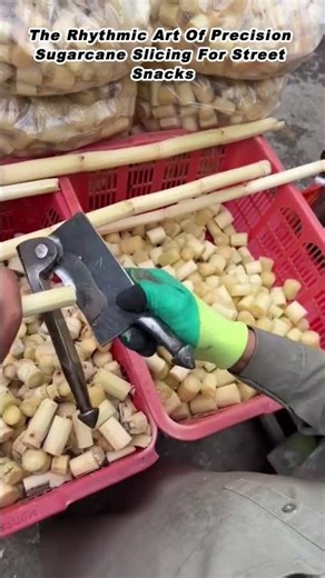 The Rhythmic Art Of Precision Sugarcane Slicing For Street Snacks