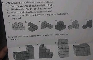 Esti built these models with wooden blocks.a) Find the volume ... | Filo