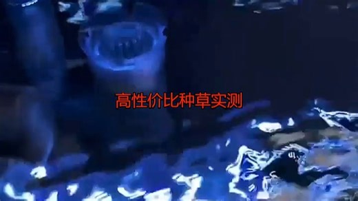 AMTRA旗舰店鱼缸过滤器(2387)安静高效，滤材多样易清洁，适合家用小型鱼缸。使用后水质清澈，观赏鱼更活跃，养鱼省心多了。