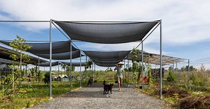 studio anettai perches small concrete and steel home amid pepper plantation in vietnam