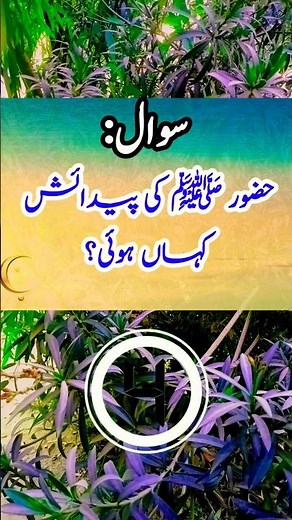 Where Was Prophet Muhammad ﷺ Born? | Islamic Q&A