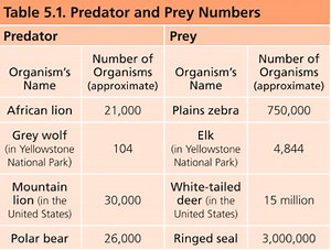 Food Webs and Energy Pyramids