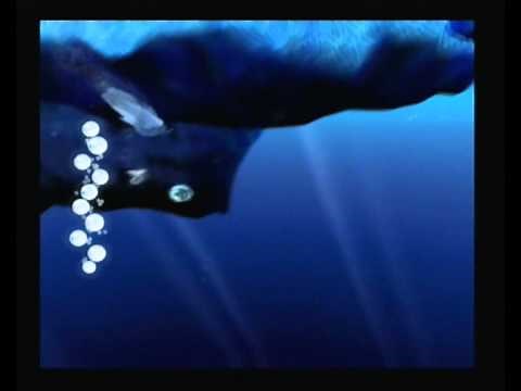 Happy Feet : Level 29: Orca Attack