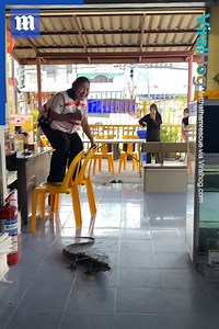 687K views · 2.9K reactions | You do not want this in your restaurant! 年 via ViralHog | Daily Mail Video | Facebook