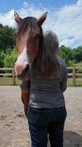 We’re excited to offer Equine-Assisted Psychotherapy (EAP) with no waitlist, so you can begin your healing journey right away. EAP is a powerful, experiential approach that helps you connect with your emotions in a safe, open space far from the traditional therapy couch. Horses are incredibly attuned to human feelings and make incredible partners in therapy. Learn more or sign up by visiting hopetreefs.org/EAP today! ✨ | HopeTree Family Services