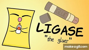 DNA Replication (Updated) on Make a GIF