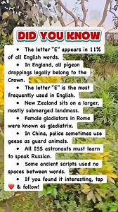 Mind-Blowing History Facts You Never Learned in School! #facts | Did You Know Facts By OFS