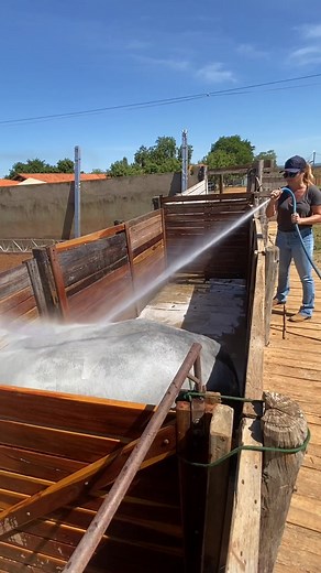 755 reactions · 20 shares | Top | Ton Melo | Facebook