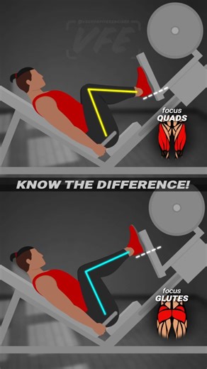 Vector Fitness Exercises on Instagram: "❗️ LEG PRESS: 1 EXERCISE — 2 MUSCLE TARGETS! . . . . . These and other vector animated exercises for your fitness app, website or other project can be found at the link in bio #vectorfitexercises #exercisescollection #exerciseslibrary #animatedexercises #animation #lottie #json #fitnessproject #fitnessapp #appdesign #fitness #tips #workout #training #gymworkout #legsworkout #ux #ui"