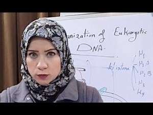 (MOLECULAR BIOLOGY Session 2) DNA Structure