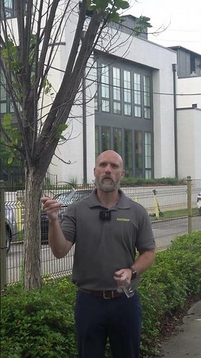 Safeguard Your Eyes and Face