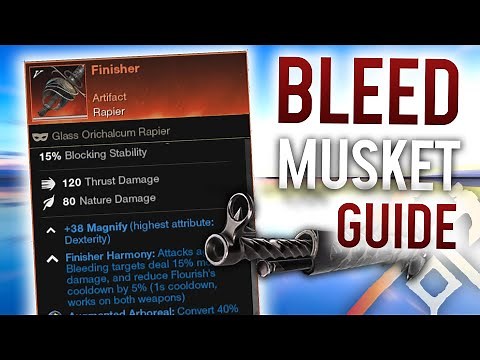 INSANE BLEED MUSKET BUILD - New World Expansion