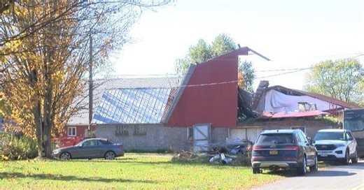 41 Animals Rescued From Stitville Farm