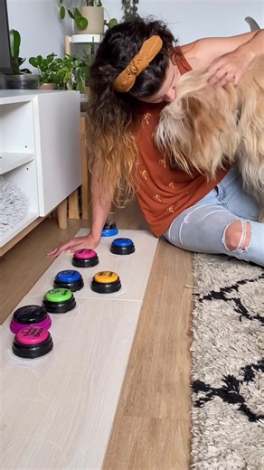 Aprendiendo a comunicarse: Cómo enseñar a tu perro a usar botones de comunicación