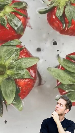 Strawberry bugs | Victor Dias TV