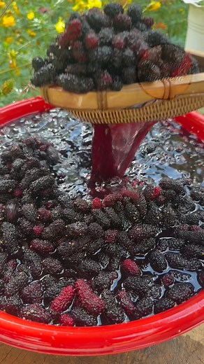 Refreshing mulberry juice!🤤🥤#fypシ #highlights #foryouシ #fbreelsvideo | Kusinerong Biyahero