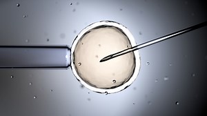 A woman gave birth to a baby through IVF. Then she had to give him up, lawsuit says