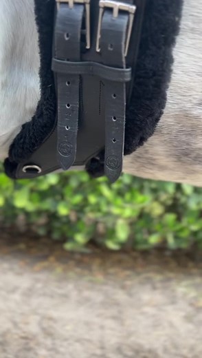 Stability Stirrup Leathers & StretchTec Shoulder Relief Girths go well together ❤️ | Total Saddle Fit