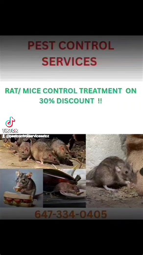 #londonontario #vaughan #etobicoke #mississauga #brampton