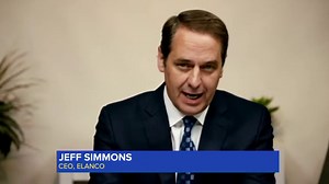 Dog collar linked to thousands of pet deaths