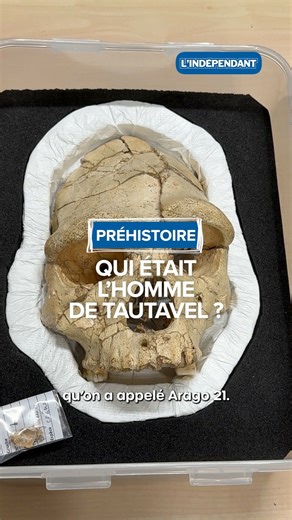 Savez-vous qui étaient réellement nos ancêtres ? 🏺🔍 Dans les Pyrénées-Orientales, nous avons la chance d’abriter le site archéologique de Tautavel, où un crâne vieux de plusieurs centaines de milliers d’années a été découvert le 22 juillet 1971. Une trouvaille majeure qui a permis aux chercheurs d’en apprendre davantage sur l’Homme de Tautavel. Aujourd’hui, un musée lui est dédié, offrant une immersion fascinante au cœur de notre histoire. 🔬📜 On vous explique. #Histoire #Archéologie #Tautave