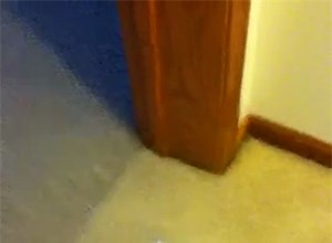 Longest Paper Slinky