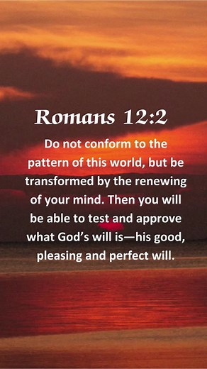 Bible Verses For You