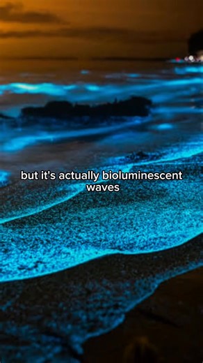 Natural Phenomena that Seem Impossible but Happen Regularly 😳 #history #historytok #historyfacts #viral #DidYouKnow #clouds #phenomena | dose.history