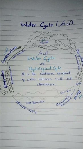 #Hydrological cycle/Water cycle