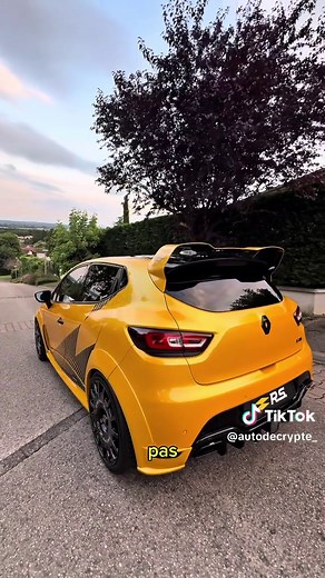 Fiabilité et Performance de la Clio 4 RS
