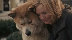 Best dog movies to stream right now