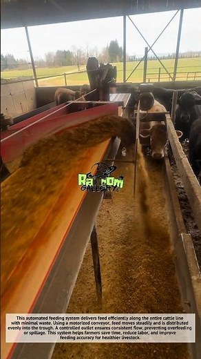 Amazing, This Smart Feeder Saves Tons of Animal Feed! Automatic Cattle Feeding System 🤯