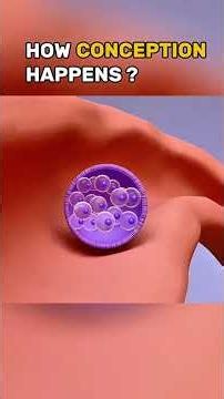 How Conception Happens | Fertilization 3D Animation #Conception #Pregnancy
