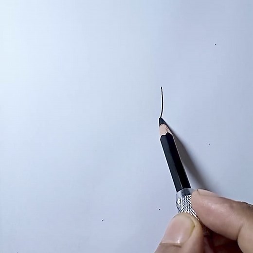 How to draw coconut trees #treedraw #treeart #artwork | Md. Takbir Hossain