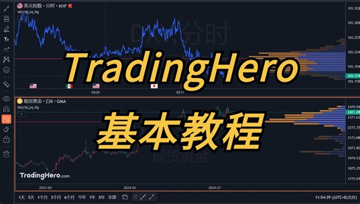 【TradingHero使用指南】新手友好的基本操作详解！