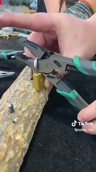 Video của ideas_fox (@ideas_fox) với bản nhạc Ode to a Doorless Hallway - Puma The Weirdo