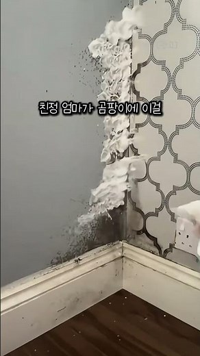 Skip the bleach and buy this at Daiso: The ultimate mold removal hack #MoldRemovalHack #BathroomC...