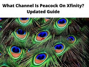 What Channel Is Peacock On Xfinity? - Updated Guide 2025
