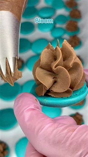 A delicate macaron flower filled with smooth, ganache. #macarons #ganache #pastry #kobalicious