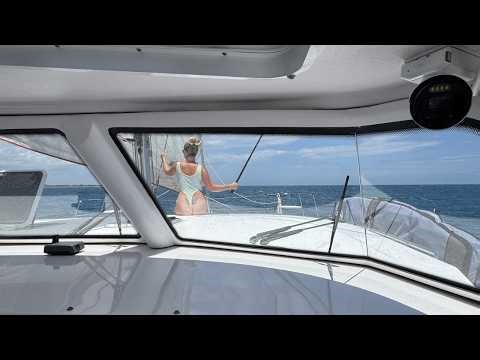 The Next Chapter Starts NOW! - The Lazy Geckos Season 14