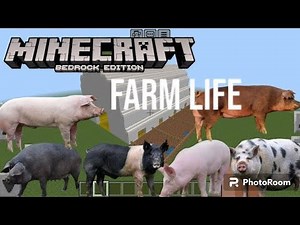 All breeds of pigs on the farm Addon in Minecraft PE