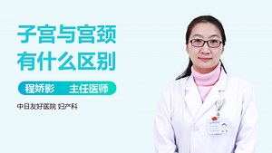 子宫与宫颈有什么区别