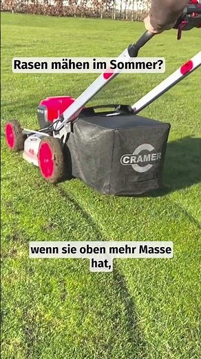 Rasen mähen im Sommer? ☀️ #foryou #gras #rasen #sommer #trockenrasen #gardening #lawn