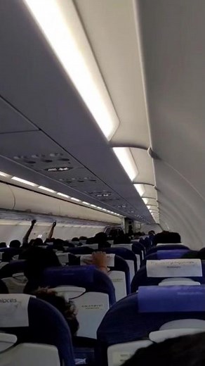 IndiGo Flight Cabin Tour: What to Expect Inside ✈️ #flight #airport #travel #indigo #shorts #utube