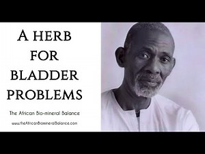 DR SEBI - HOW TO CURE BLADDER PROBLEMS